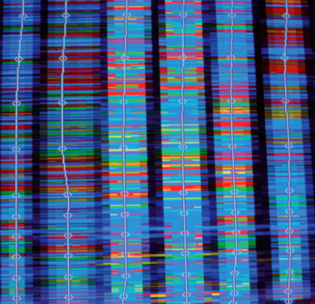 Sequençage de l'ADN
