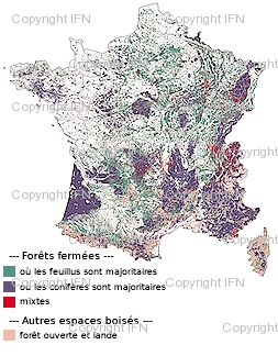 types de forêts en France